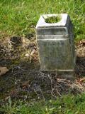 image of grave number 196509